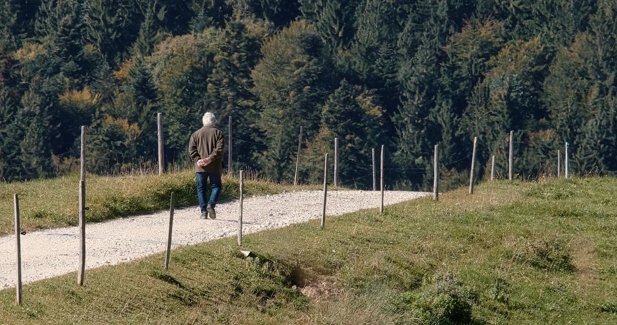 Pessoa caminhando sozinha em trilha de terra entre árvores